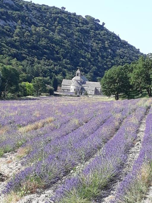 Willa Bastidon Plein Sud Gordes Zewnętrze zdjęcie